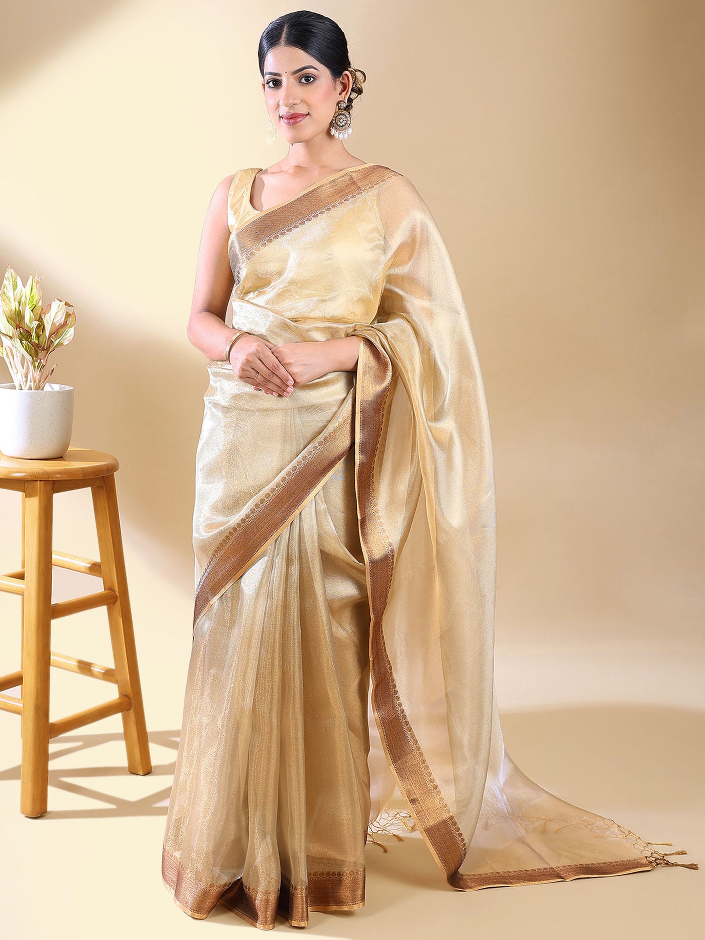 Gold Tissue Saree With Zari Border