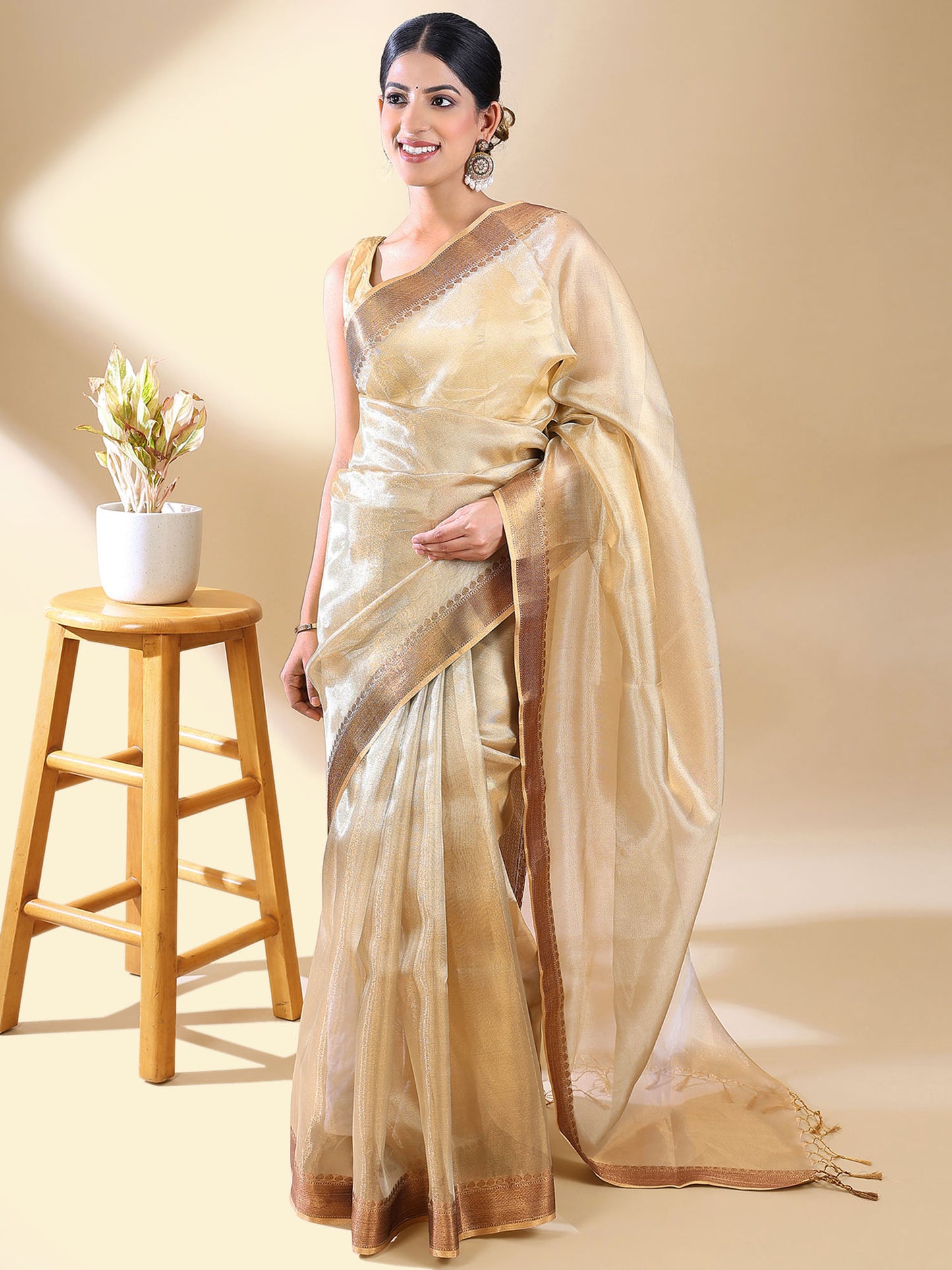 Gold Tissue Saree With Zari Border