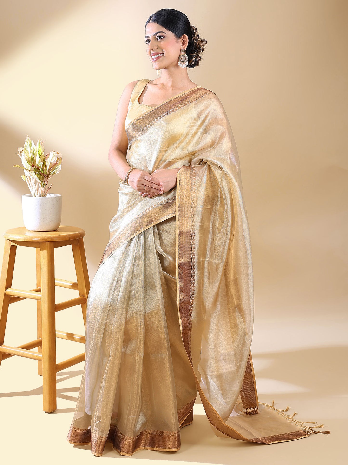 Gold Tissue Saree With Zari Border