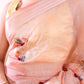 Pink Chanderi Cotton Applique Saree